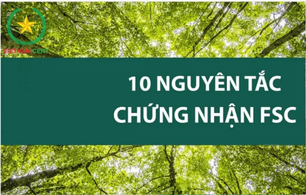 10 nguyên tắc của FSC mà các doanh nghiệp nên biết