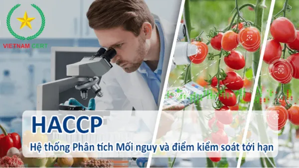 Điều kiện nào để các doanh nghiệp có được chứng nhận HACCP?