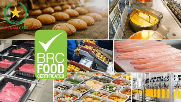 Những điều mà doanh nghiệp sản xuất thực phẩm quan tâm về chứng nhận BRC