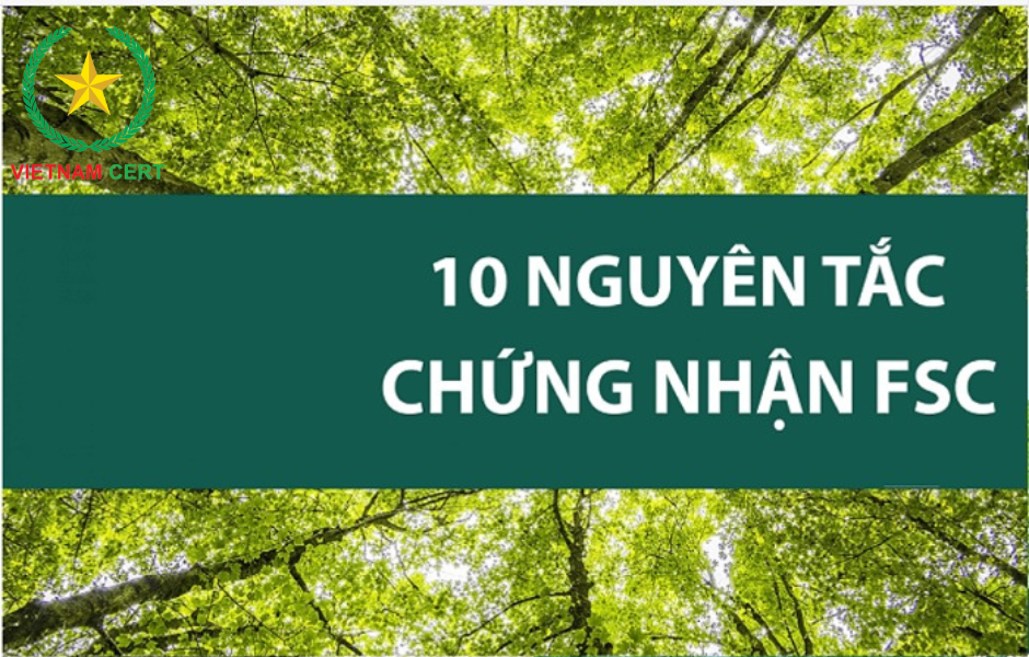 10 nguyên tắc của FSC mà các doanh nghiệp nên biết