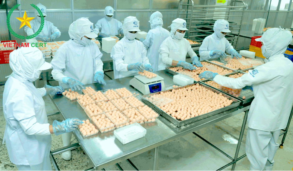 Các cơ sở sản xuất thực phẩm sẽ cần những loại giấy phép gì?