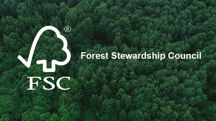 Chứng nhận FSC là gì? Tìm hiểu về chứng nhận FSC