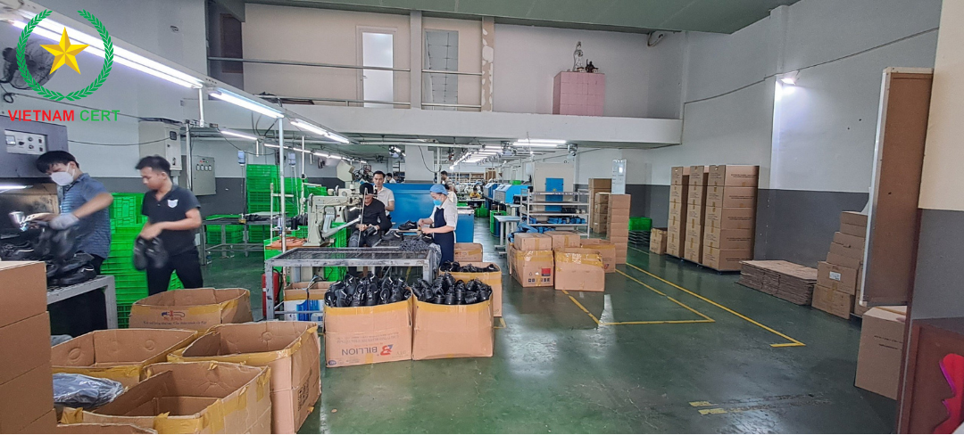 Chứng nhận hợp quy giày Bảo Hộ Lao Động cho công ty Uy Thái