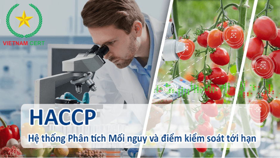 Điều kiện nào để các doanh nghiệp có được chứng nhận HACCP?