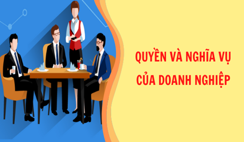 Doanh nghiệp nhập khẩu vật liệu xây dựng có quyền và nghĩa vụ như thế nào?