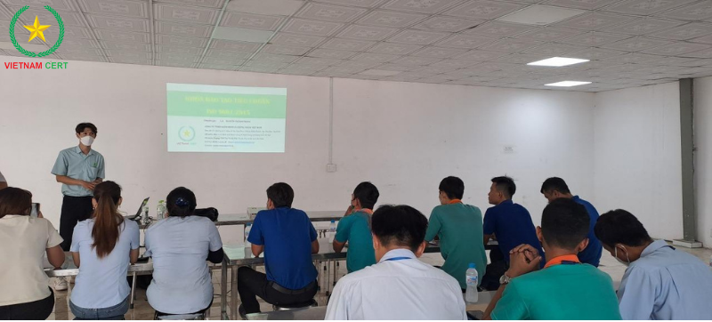 Tư vấn, chứng nhận ISO 9001 cho công ty gỗ Mỹ Gia