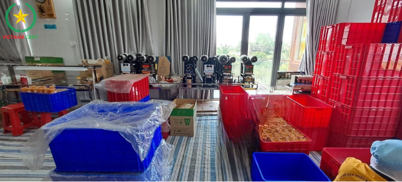 Tư vấn, chứng nhận ISO 22000, HACCP cho công ty Cô Út