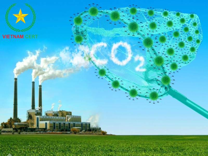 Báo cáo, Kiểm kê khí nhà kính