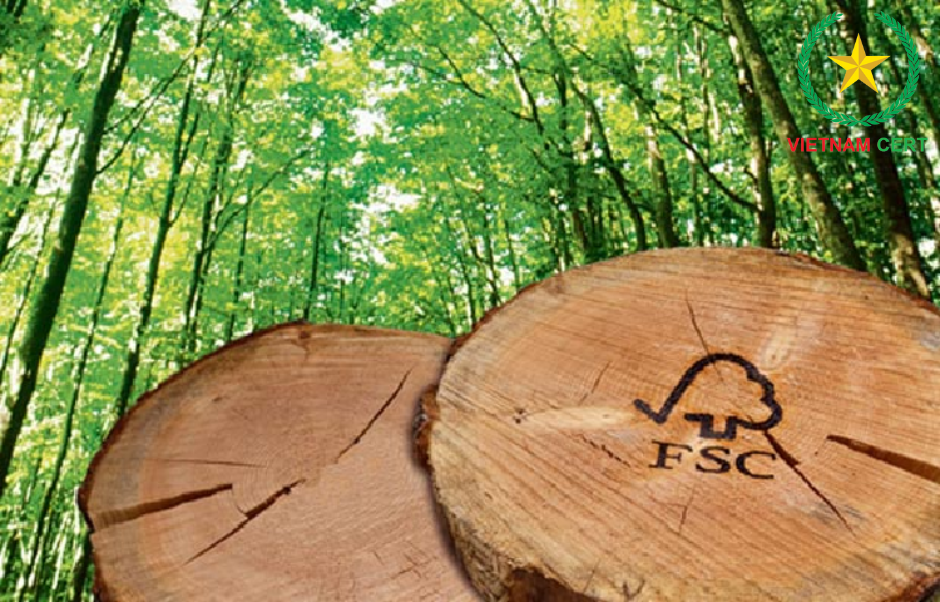 Lợi ích từ việc mua sàn gỗ được cấp chứng chỉ FSC