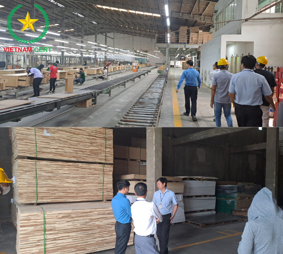 Cửa gỗ Trường Thành đạt chứng nhận TCVN 9366-1:2012