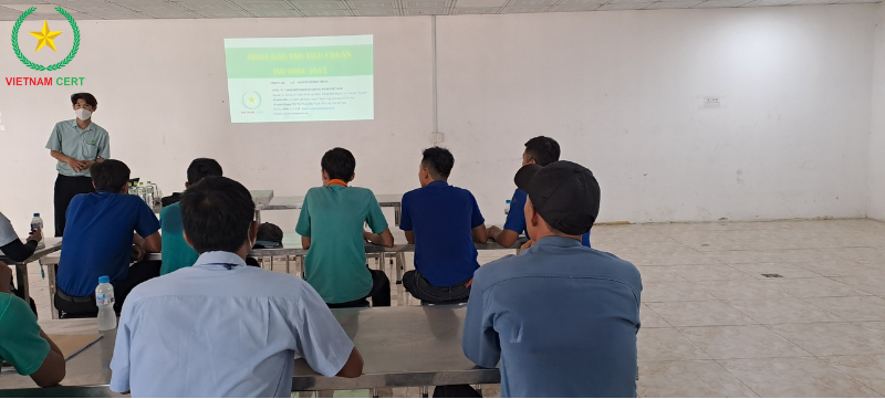 Tư vấn, chứng nhận ISO 9001 cho công ty gỗ Mỹ Gia
