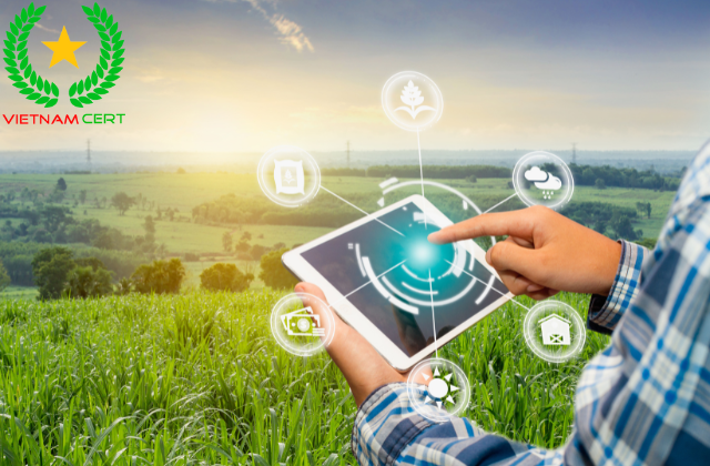 Các bước xây dựng hệ thống quản lý chất lượng ISO đơn giản hiệu quả