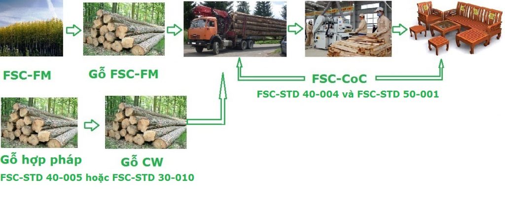 Tiêu chuẩn quản lý rừng bền vững – FSC